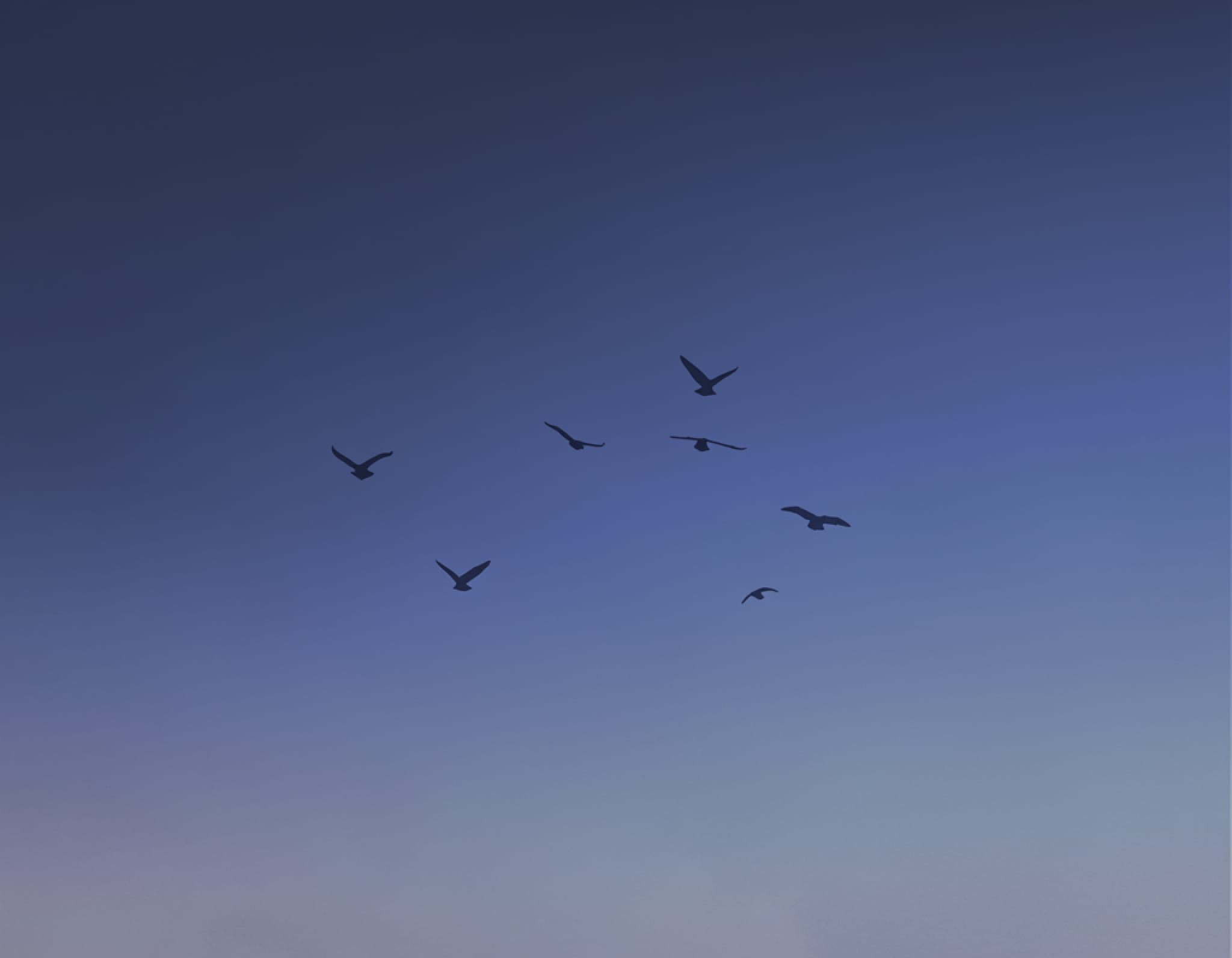 Top Career Paths in Kenya for 2026